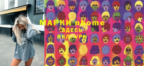 индика Алексин