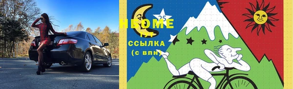индика Алексин