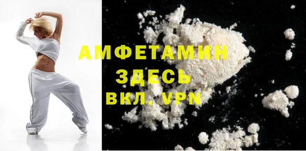 индика Алексин