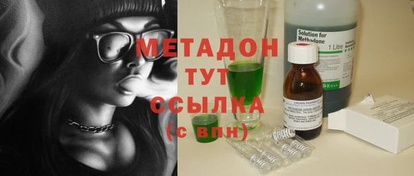 индика Алексин