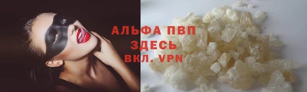 PSILOCYBIN Алзамай
