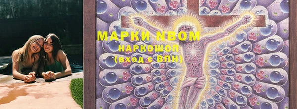 индика Алексин