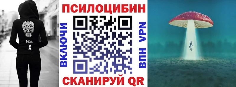 Галлюциногенные грибы Psilocybe  Безенчук 